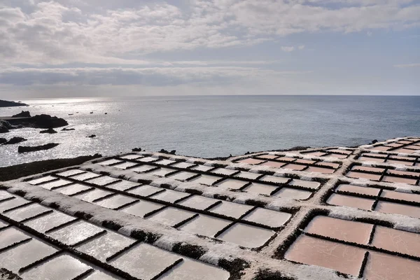 加那利群岛的盐滩 — 图库照片
