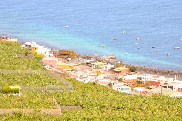 Campo de plantación de plátano — Foto de Stock