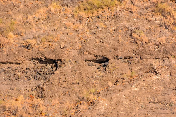 Trockenes Lava-Basaltgestein — Stockfoto