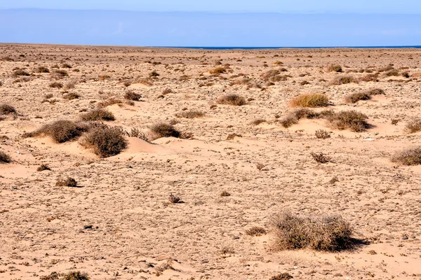 Droog woestijnlandschap — Stockfoto