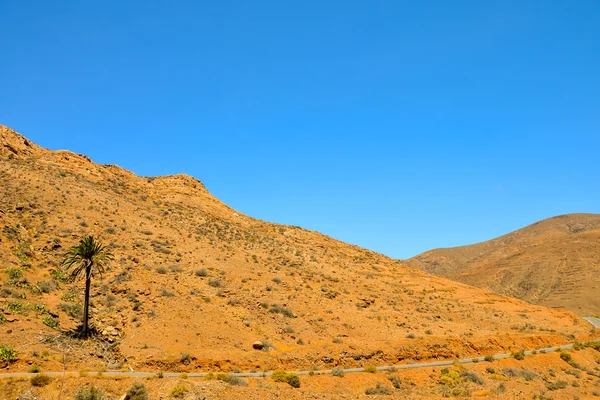 Сухой пустынный пейзаж — стоковое фото