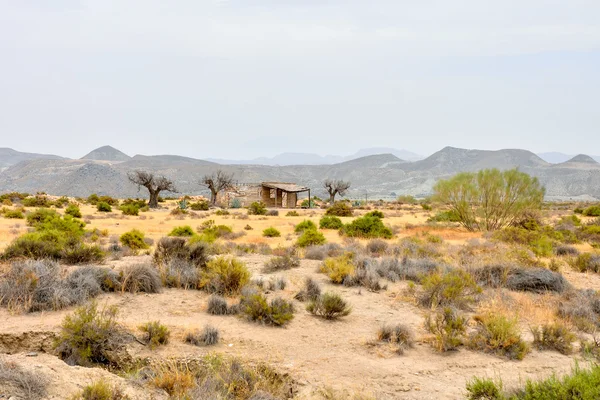 WoestijnTabernas in de provincie Almeria, Spanje — Stockfoto
