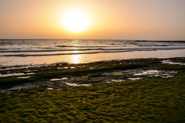 Vista sulle coste oceaniche — Foto Stock