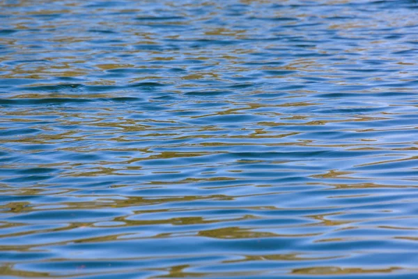 Río Brenta salvaje — Foto de Stock