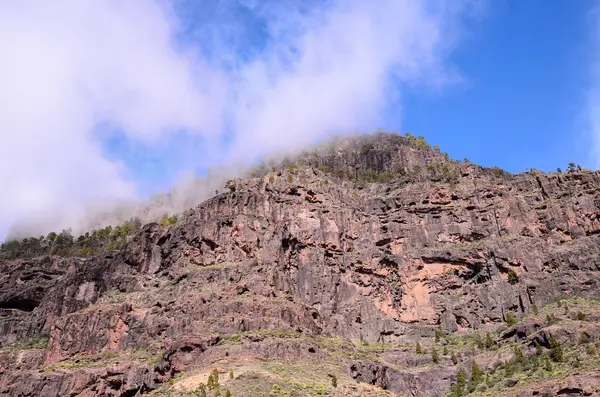 Vulkanická skalní čedičová formace na Gran Canaria — Stock fotografie