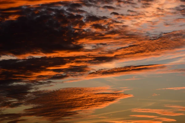 Pôr-do-sol tropical — Fotografia de Stock