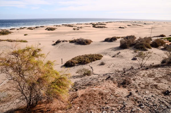 Deserto delle dune di sabbia a Maspalomas — Foto Stock