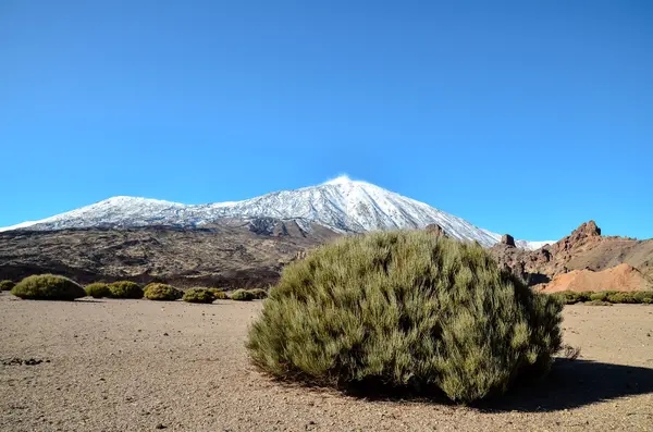 Woestijnlandschap in Nationaal Park Volcan Teide — Stockfoto