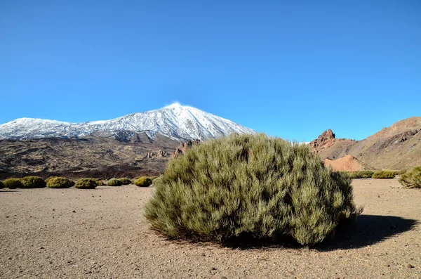 Woestijnlandschap in Nationaal Park Volcan Teide — Stockfoto