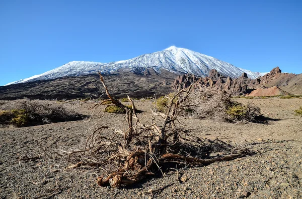 Ökenlandskap i Volcan Teide nationalpark — Stockfoto