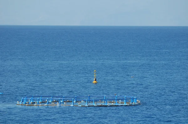 Viskwekerij in de Atlantische Oceaan — Stockfoto