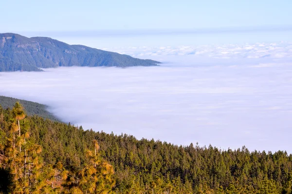 Mar de nubes — Foto de Stock