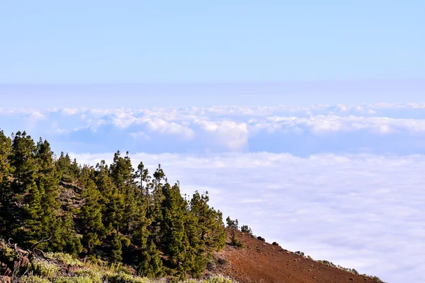 Mar de nubes — Stock fotografie