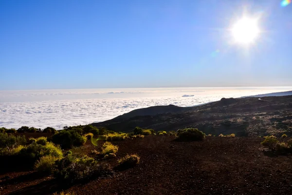 Teide National Park — Stock Photo, Image