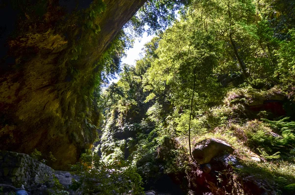 Valle en las Islas Canarias —  Fotos de Stock