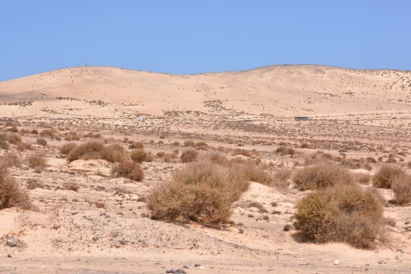 Paisagem seca do deserto — Fotografia de Stock