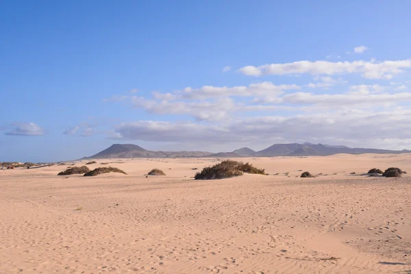 干旱的沙漠景观 — 图库照片
