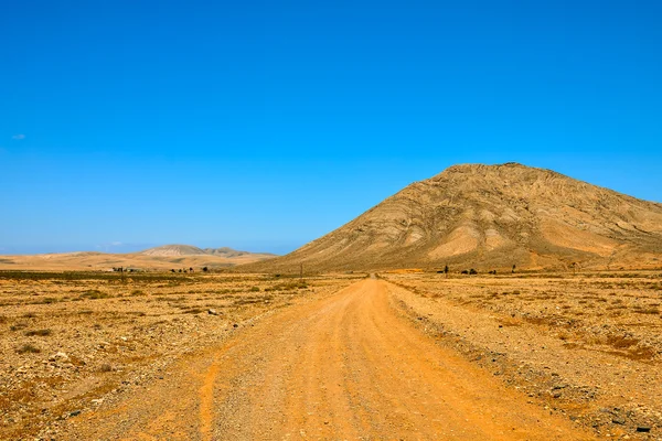 Desierto seco paisaje — Foto de Stock