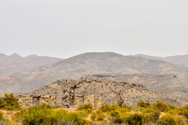 Desert Tabernas v provincii Almeria Španělsko — Stock fotografie