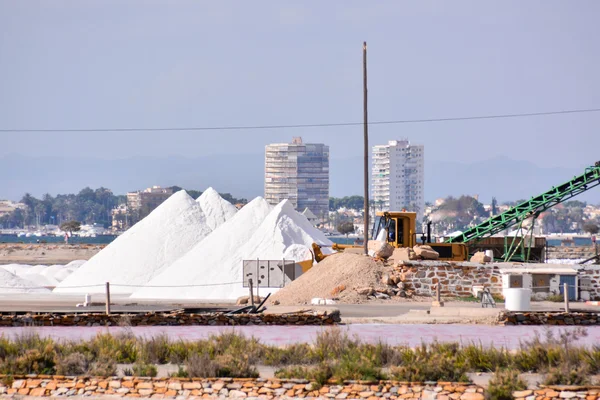 Salt Flat Field — Stock Photo, Image