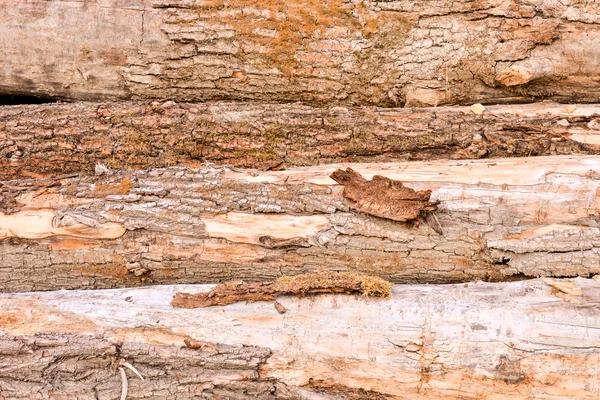 Struttura di fondo in legno — Foto Stock