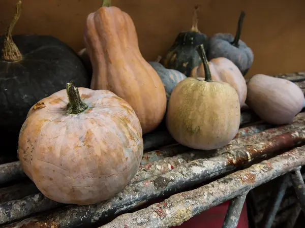 Zucca succosa fresca verde — Foto Stock