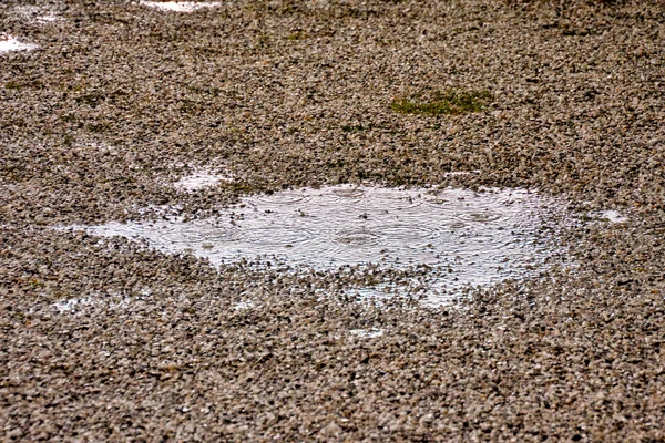 Pfütze aus Wasser und Regentropfen — Stockfoto