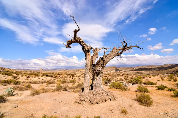 Пустыня Табернас в провинции Альмерия Испания — стоковое фото