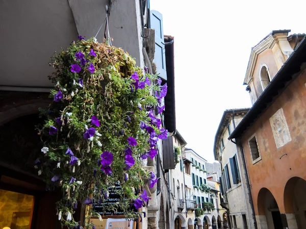 Uitzicht op Asolo — Stockfoto