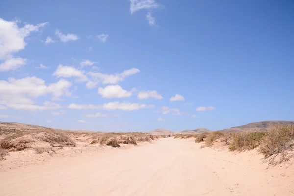 Paesaggio deserto asciutto — Foto Stock