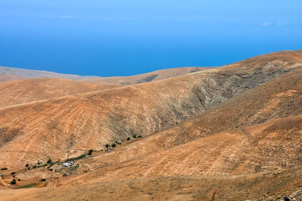 Trockene Wüstenlandschaft — Stockfoto