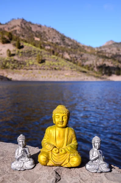 Een oude Boeddha standbeeld — Stockfoto