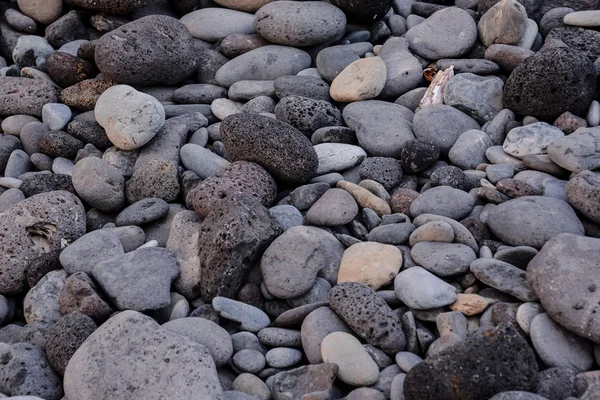 Piedras secas redondas apestosas —  Fotos de Stock