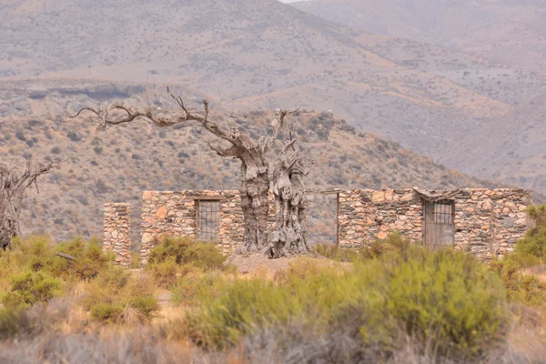 Desert Tabernas i Almería-provinsen Spanien — Stockfoto