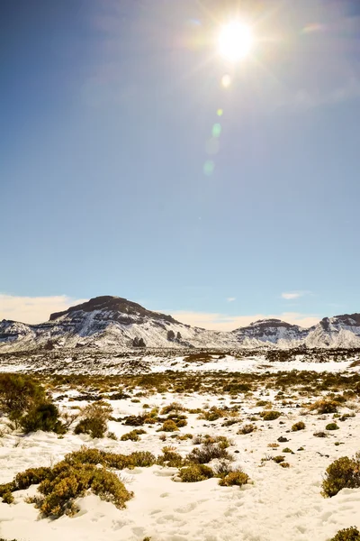 Montaje cubierto de nieve teide —  Fotos de Stock