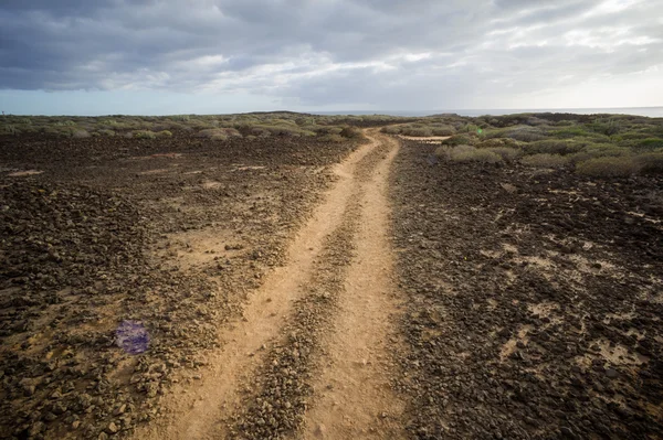 Landsbygdsvägen Desert Dirt Road — Stockfoto
