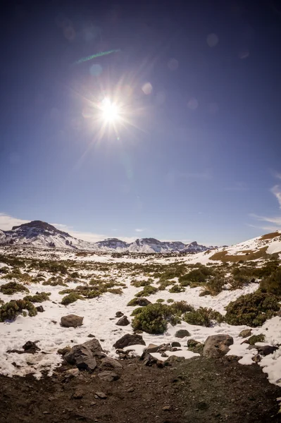 Neve coberta monte teide — Fotografia de Stock