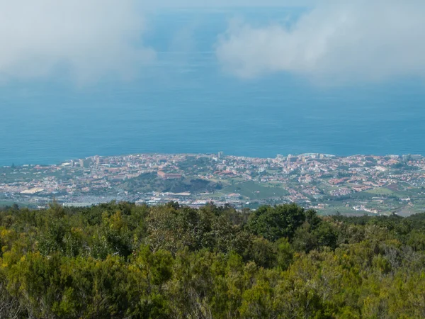 Puerto de la Cruz 'da görünüm — Stok fotoğraf