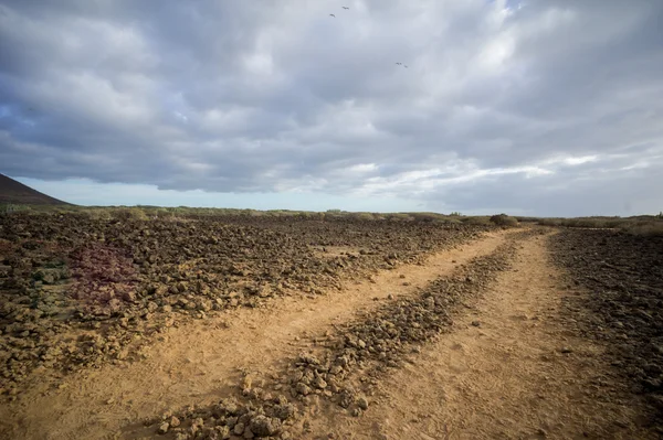 Landsbygdsvägen Desert Dirt Road — Stockfoto