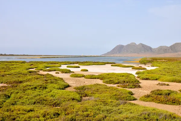 Paisaje en el sur de España — Foto de Stock