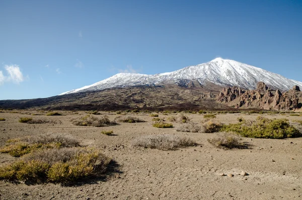 Ökenlandskap i Volcan Teide nationalpark — Stockfoto