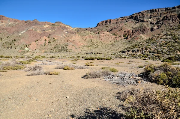 Paisagem do Deserto no Parque Nacional Volcan Teide — Fotografia de Stock