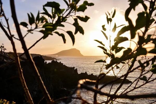 Pôr-do-sol tropical — Fotografia de Stock