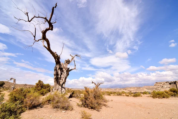 Desert Tabernas nella provincia di Almeria Spagna — Foto Stock