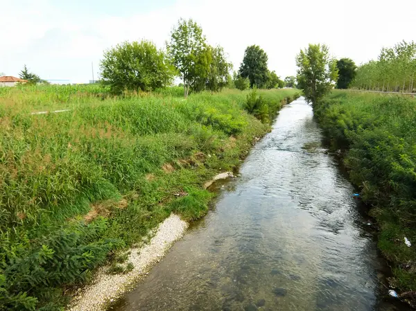 Fiume Brenta selvatico — Foto Stock