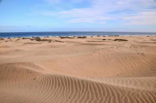 Deserto de Duna de Areia em Maspalomas — Fotografia de Stock