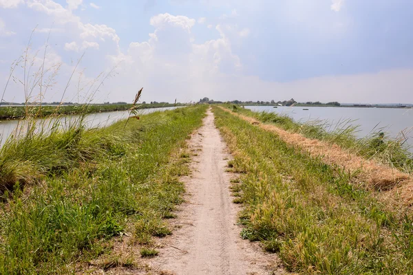 Paesaggio Delta del Po — Foto Stock