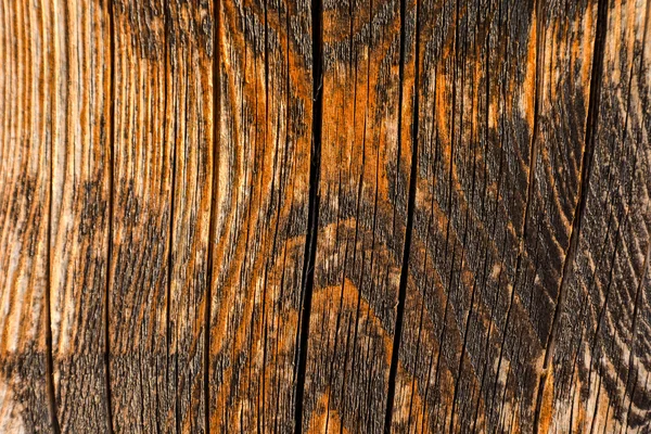 Textura de fondo de madera — Stockfoto