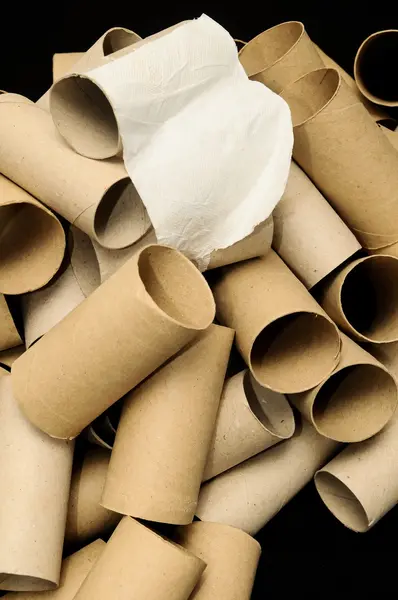 Rollo de papel higiénico vacío — Foto de Stock