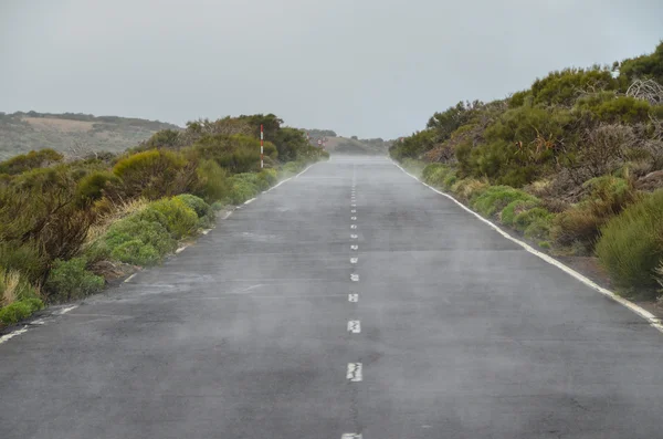 Camino en el día nublado en el Parque Nacional El Teide —  Fotos de Stock